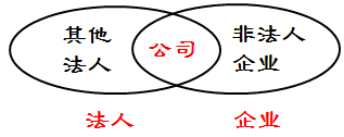 法人、企業(yè)、公司